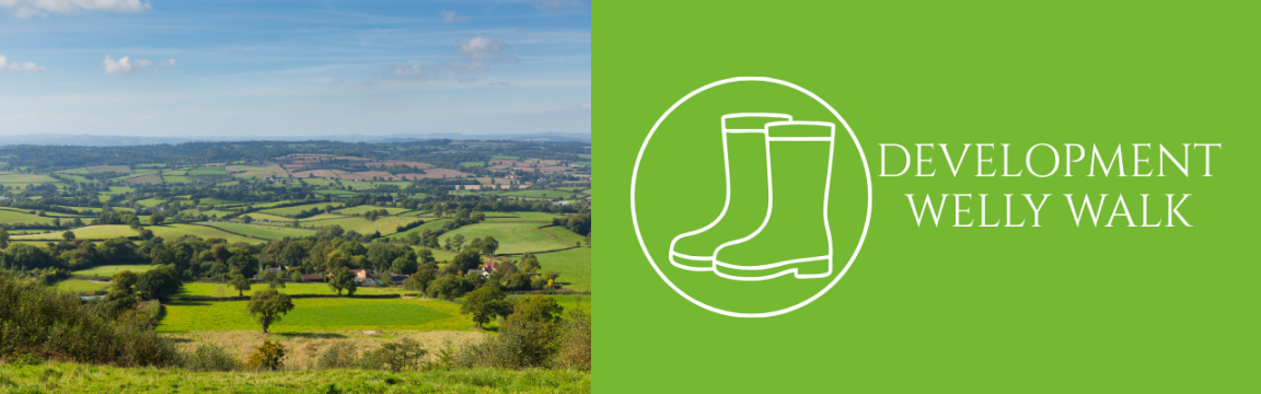 HF Welly Walk