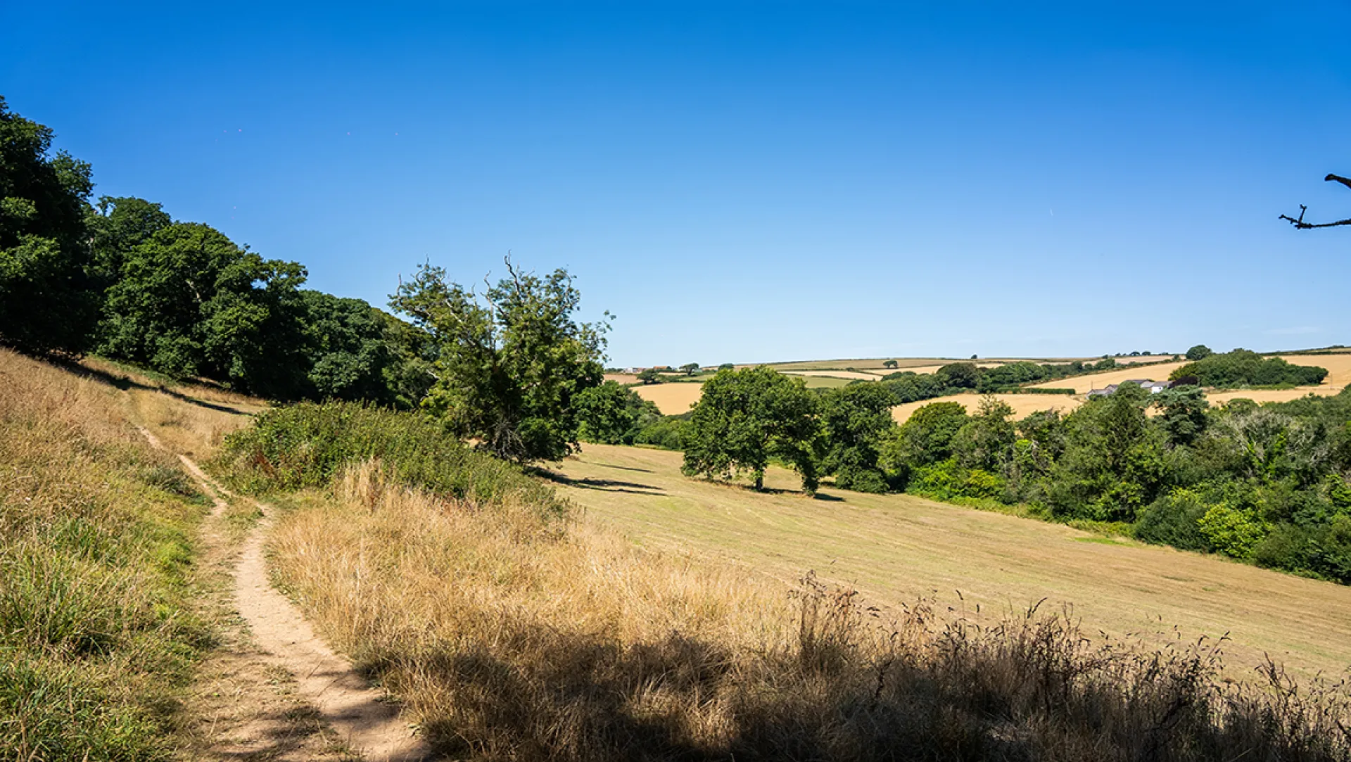 Norden Meadows