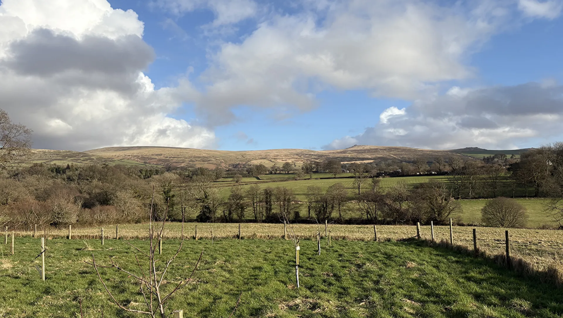 Three Tors