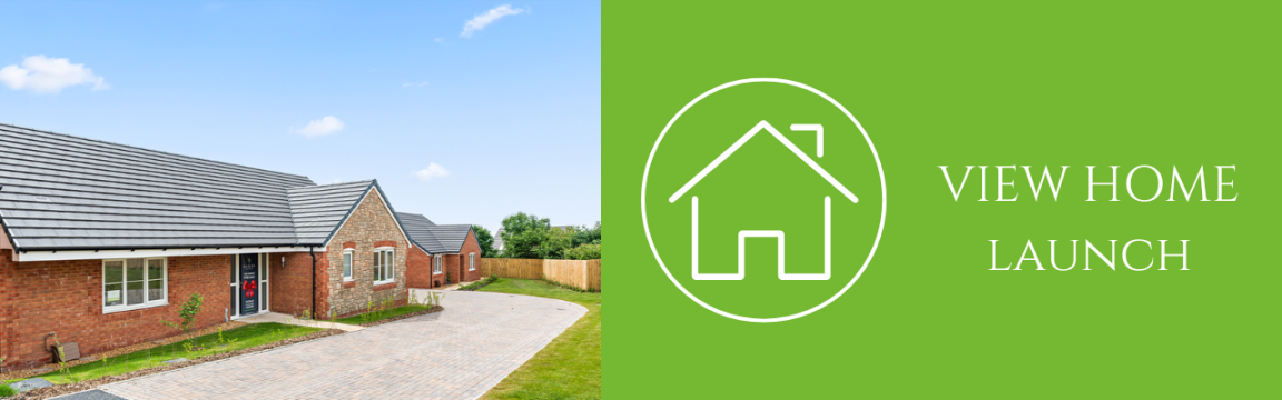 BM Primrose View Home Launch